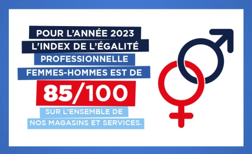 INDEX DE L'ÉGALITÉ PROFESSIONNELLE 2023